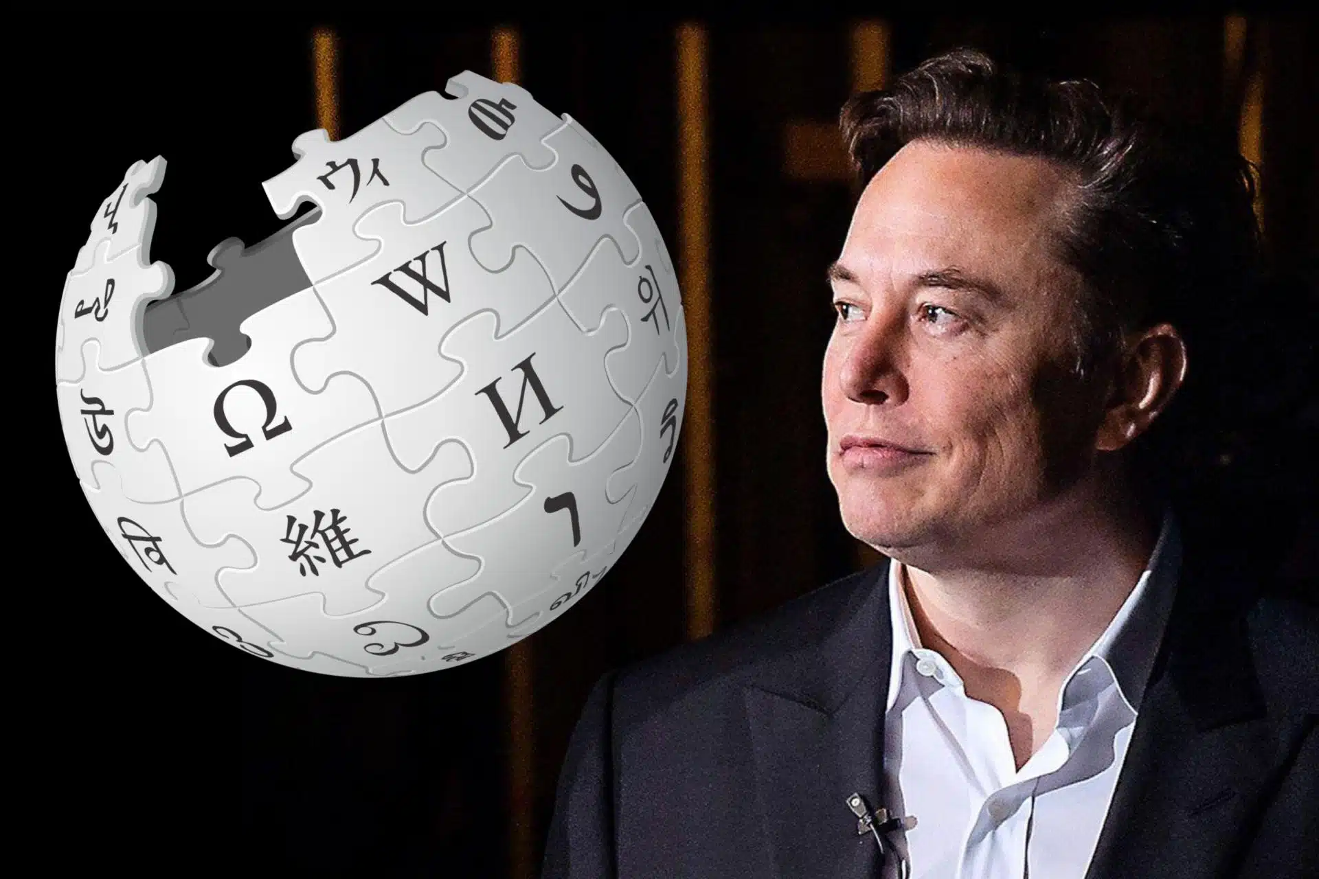 Wikipedia Elon Musk
