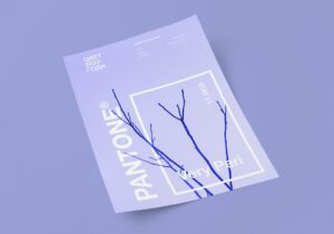 Découvrez pourquoi les TPE/PME à Lyon doivent investir dans un site performant pour renforcer leur présence digitale et stimuler leur croissance, tout en évitant les erreurs courantes.