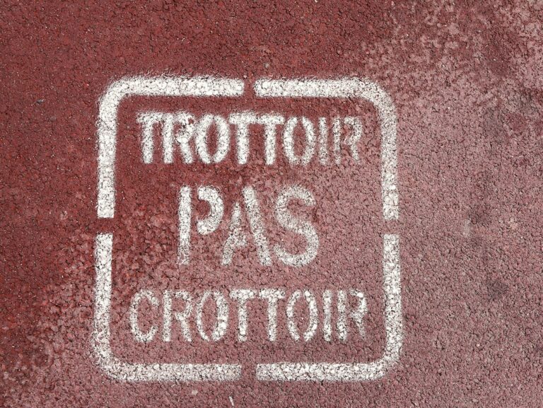 Découvrez l'expertise des agences de communication visuelle à Toulouse, les tendances actuelles et comment elles transforment l'image des entreprises locales.