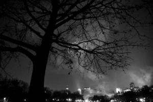 Exploitez l'IA conversationnelle pour transformer le commerce de détail en 2026. Découvrez les tendances et innovations clés pour votre stratégie.