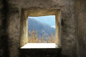 Découvrez tout ce qu'il faut savoir pour créer un site vitrine performant et attractif.