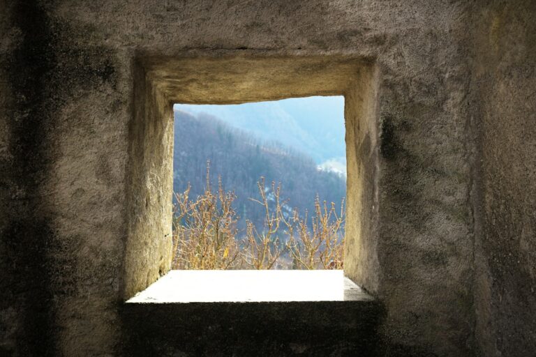 Découvrez tout ce qu'il faut savoir pour créer un site vitrine performant et attractif.